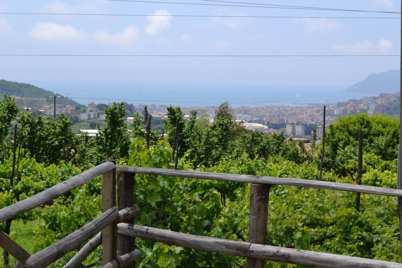 B&B Green Valley Salerno Ngoại thất bức ảnh