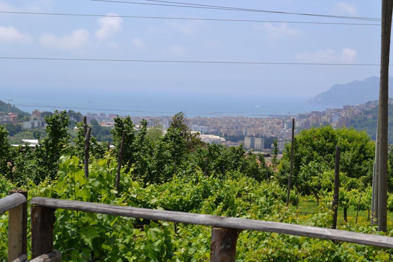 B&B Green Valley Salerno Ngoại thất bức ảnh